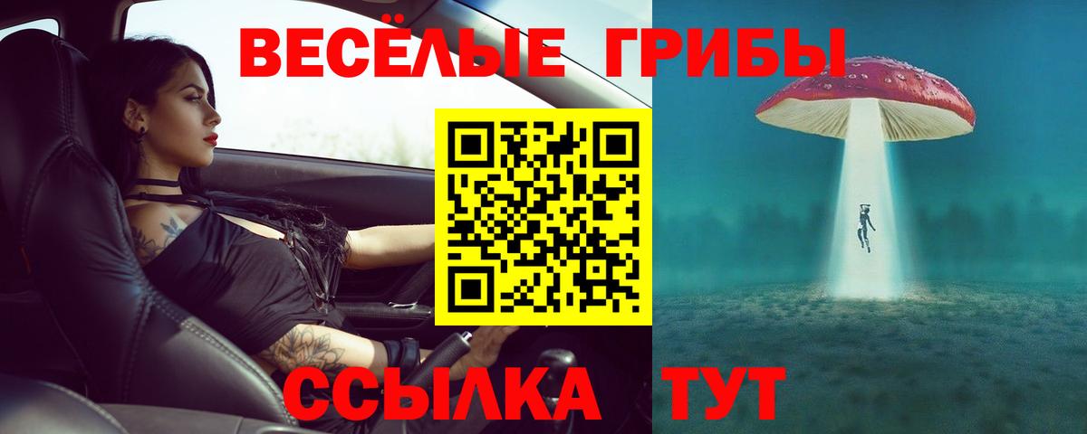 Галлюциногенные грибы GOLDEN TEACHER  Вход с VPN  Нижневартовск 